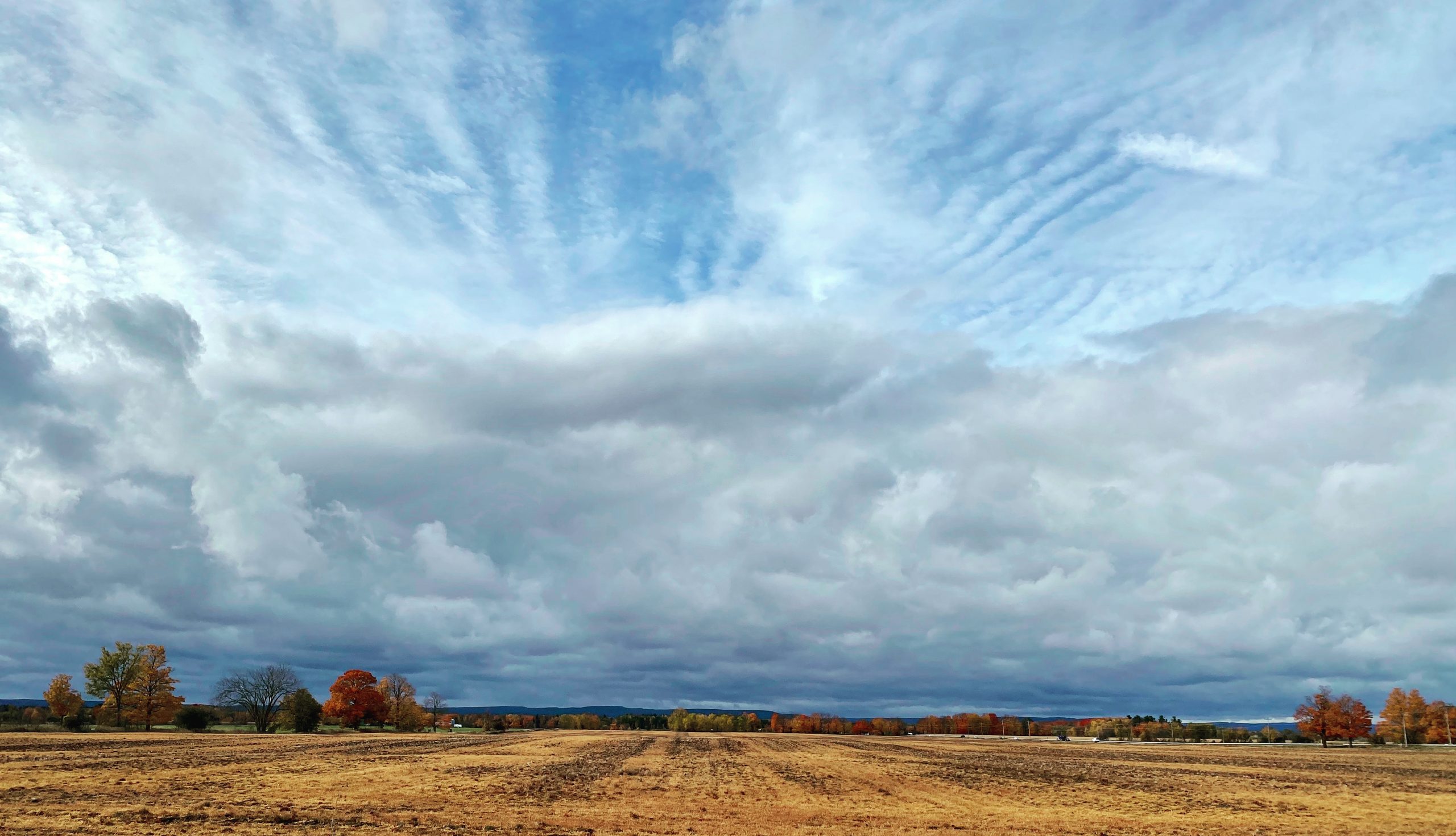 CLEARVIEW